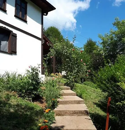 Vila Anna Ribarica Exterior photo