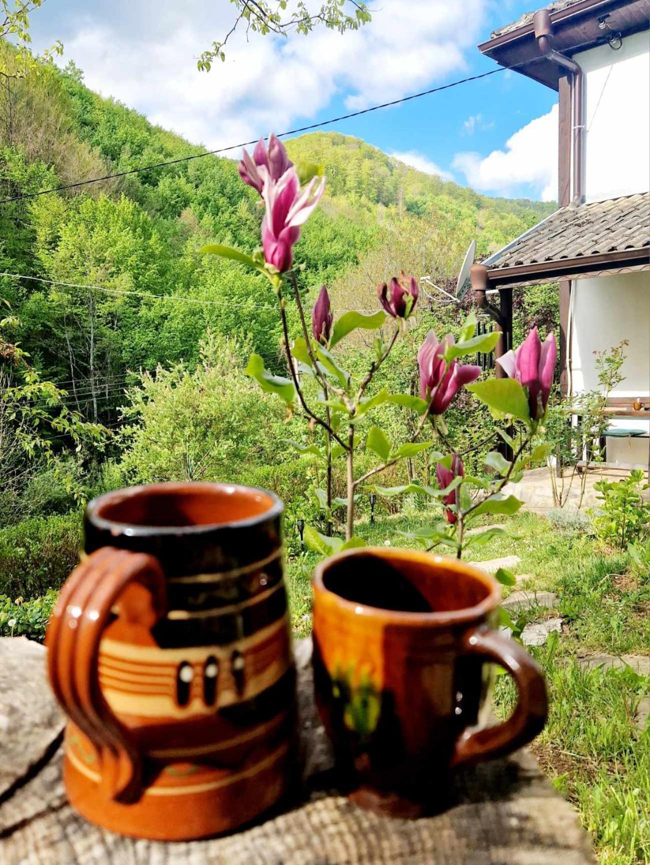 Villa Anna